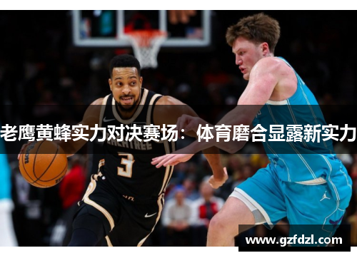 老鹰黄蜂实力对决赛场：体育磨合显露新实力
